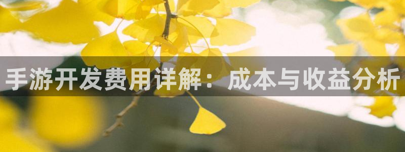 星空93299娱乐官网版：手游开发费用详解：成本与收益分析