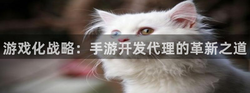 星空娱乐棋牌app：游戏化战略：手游开发代理的革新之道