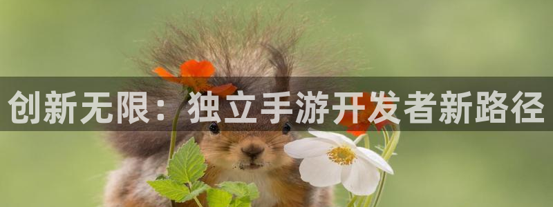 星空娱乐链接：创新无限：独立手游开发者新路径