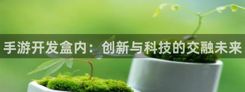 星空娱乐正版：手游开发盒内：创新与科技的交融未来