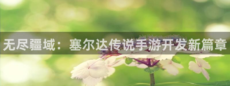 星空娱乐最新网址：无尽疆域：塞尔达传说手游开发新篇章