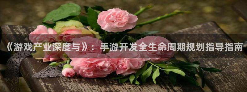 星空93299娱乐官网版：《游戏产业深度与》：手游开发全生命