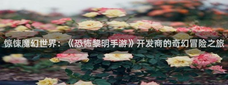星空娱乐app：惊悚魔幻世界：《恐怖黎明手游》开发商的奇幻冒