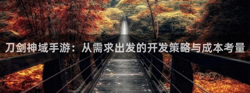 星空93299娱乐官网：刀剑神域手游：从需求出发的开发策略与