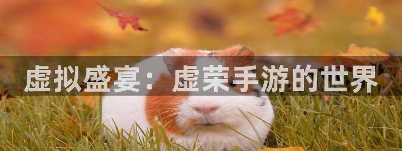 星空娱乐新版本下载：虚拟盛宴：虚荣手游的世界