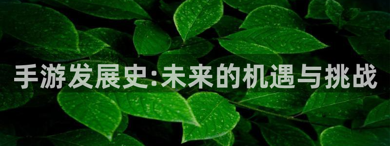 星空娱乐老版：手游发展史:未来的机遇与挑战