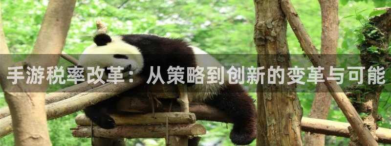 星空娱乐最新网址：手游税率改革：从策略到创新的变革与可能