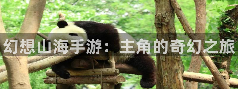 93299星空娱乐官网版：幻想山海手游：主角的奇幻之旅