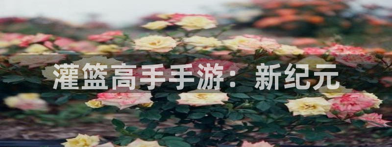 星空娱乐体育：灌篮高手手游：新纪元