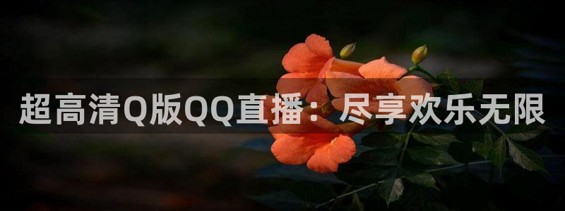 nba直播_足球直播_免费在线直播_88看球官网：超高清Q版QQ直播：尽享欢乐无限