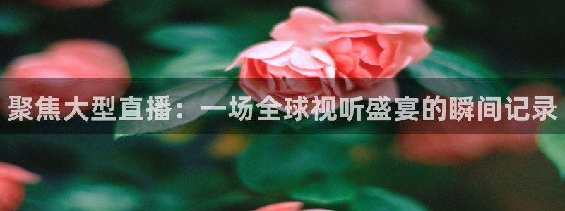 nba直播_足球直播_免费在线直播_88看球官网：聚焦大型直播：一场全球视听盛宴的瞬间记录