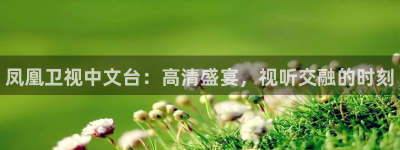 88看球直播无插件nba：凤凰卫视中文台：高清盛宴，视听交融的时刻