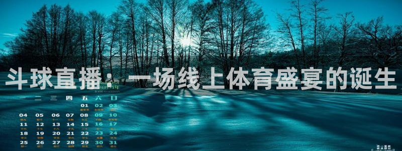 88看球直播app下载：斗球直播：一场线上体育盛宴的诞生