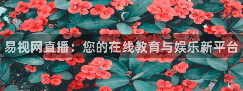 88看球直播在线观看：易视网直播：您的在线教育与娱乐新平台