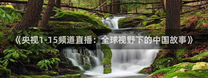 88看球直播在线观看：《央视1-15频道直播：全球视野下的中国故事》