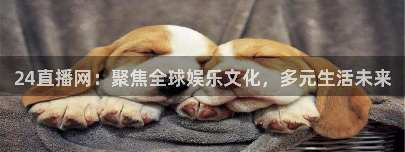 nba直播免费观看直播在线88看球：24直播网：聚焦全球娱乐文化，多元生活未来