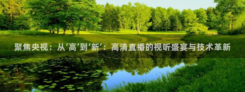 88看球nba直播官网：聚焦央视：从‘高’到‘新’：高清直播的视听盛宴与技术革新