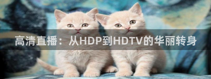 88看球直播nba直播：高清直播：从HDP到HDTV的华丽转身