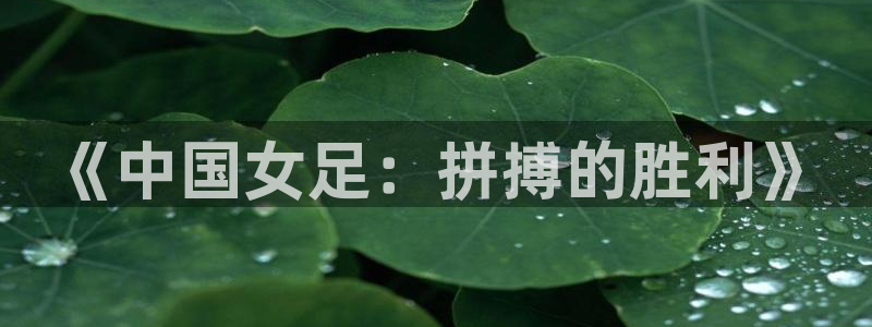 88看球直播 在线观看：《中国女足：拼搏的胜利》