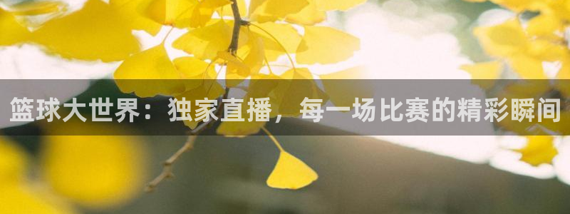 88看球免费直播官网：篮球大世界：独家直播，每一场比赛的精彩瞬间