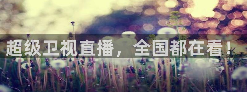 88看球nba足球直播