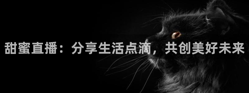 88看球直播网