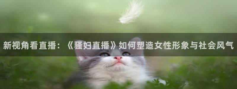 nba直播免费观看直播在线88看球：新视角看直播：《骚妇直播》如何塑造女性形象与社会风气