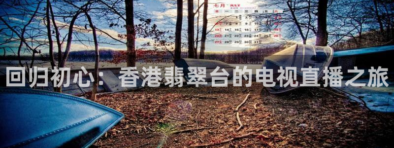 88看球:足球直播_nba线上看_免费体育直播：回归初心：香港翡翠台的电视直播之旅